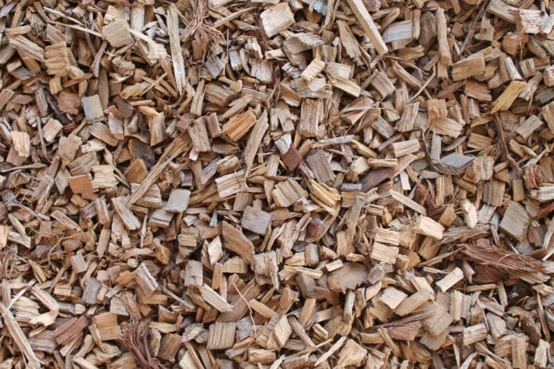 cypress mulch for dogs
