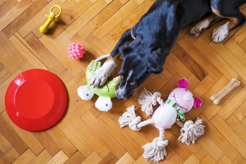 different kinds of indestructible dog toys