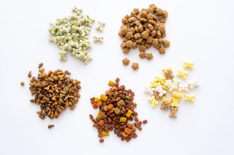 different kinds of dog food