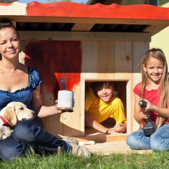 DIY dog house plans