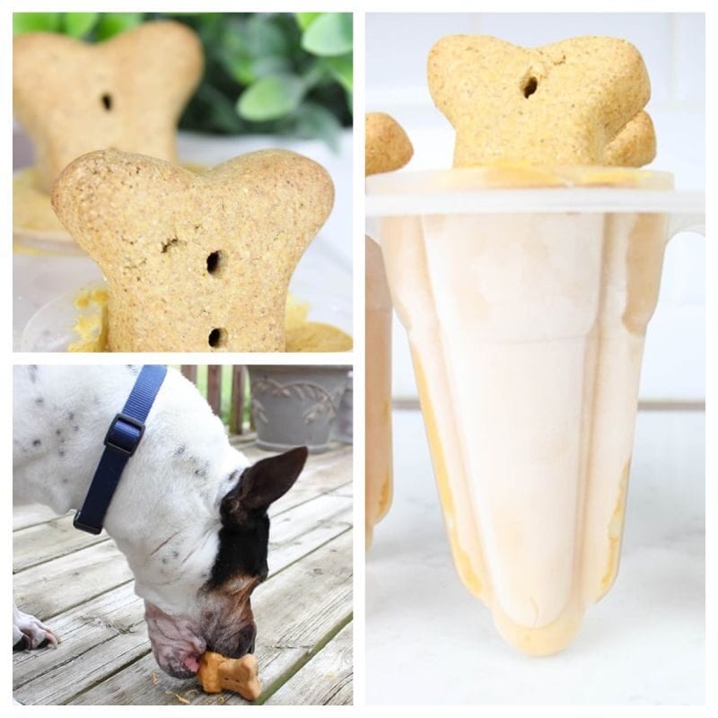 Pumpkin and peanut butter popsicle for dogs