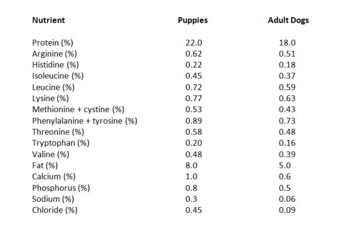 Dog and Puppy Nutritional Needs