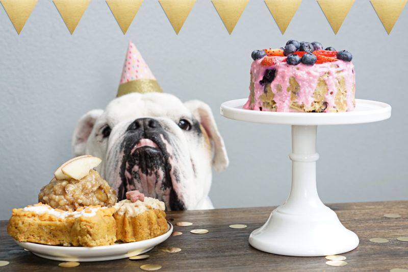 cake recipes for dogs
