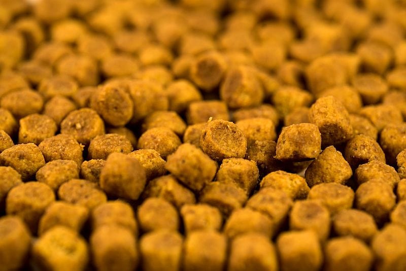 beneficial bacteria in dog food