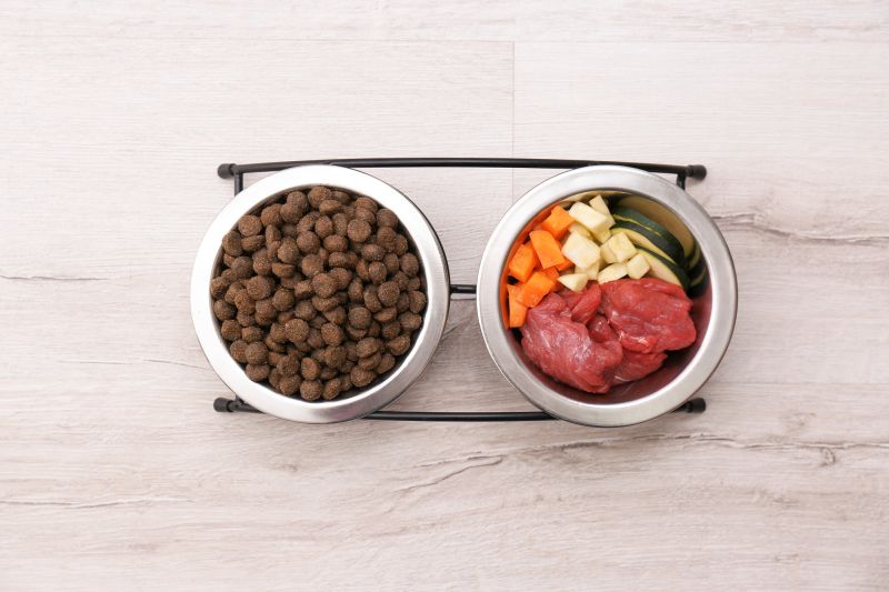 finding low protein dog food