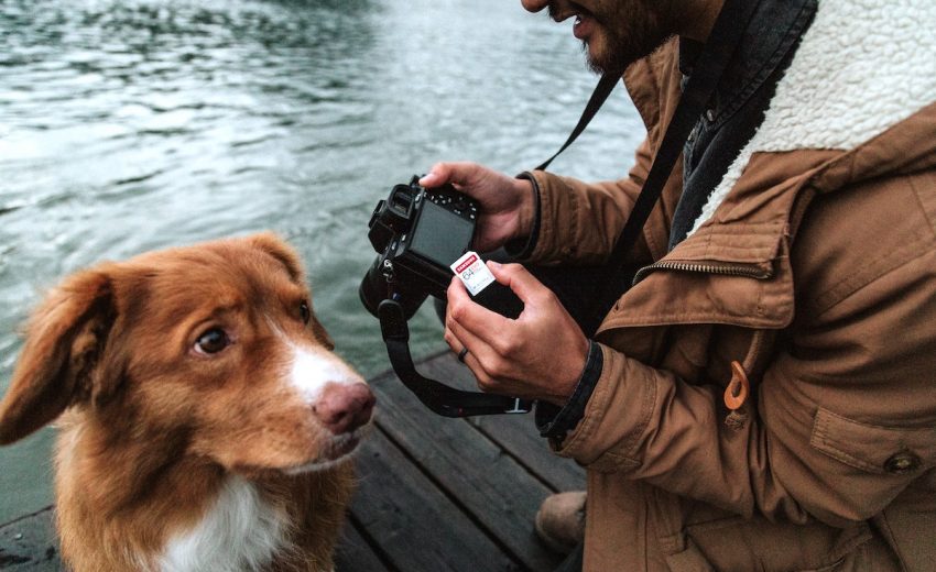 dog-photo-poses