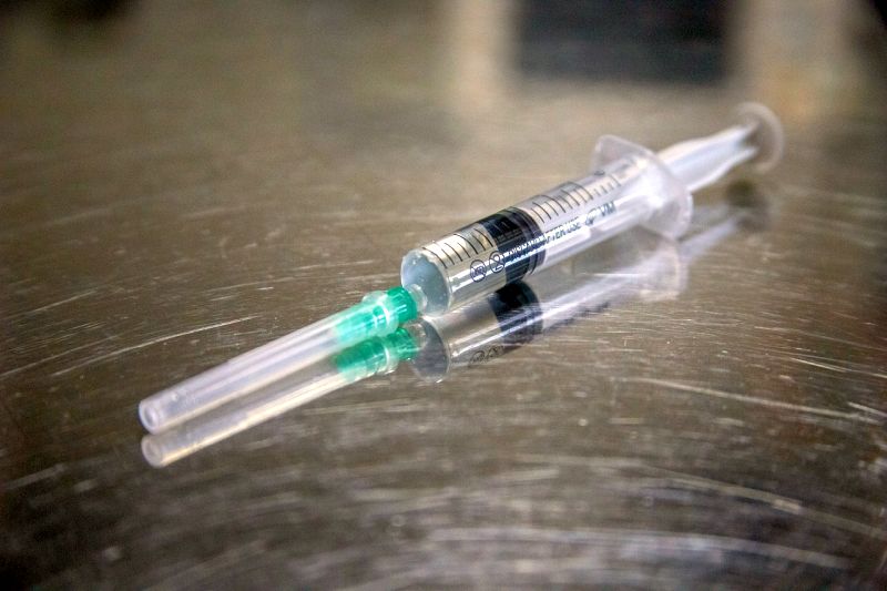 syringes for dogs