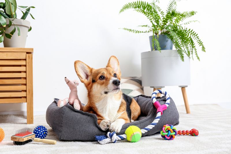 benefits of dog toy baskets