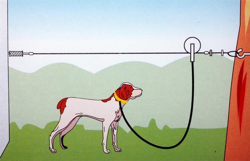 dog trolley system