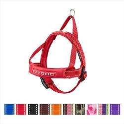 Easiest Dog Harness for Running to Put On