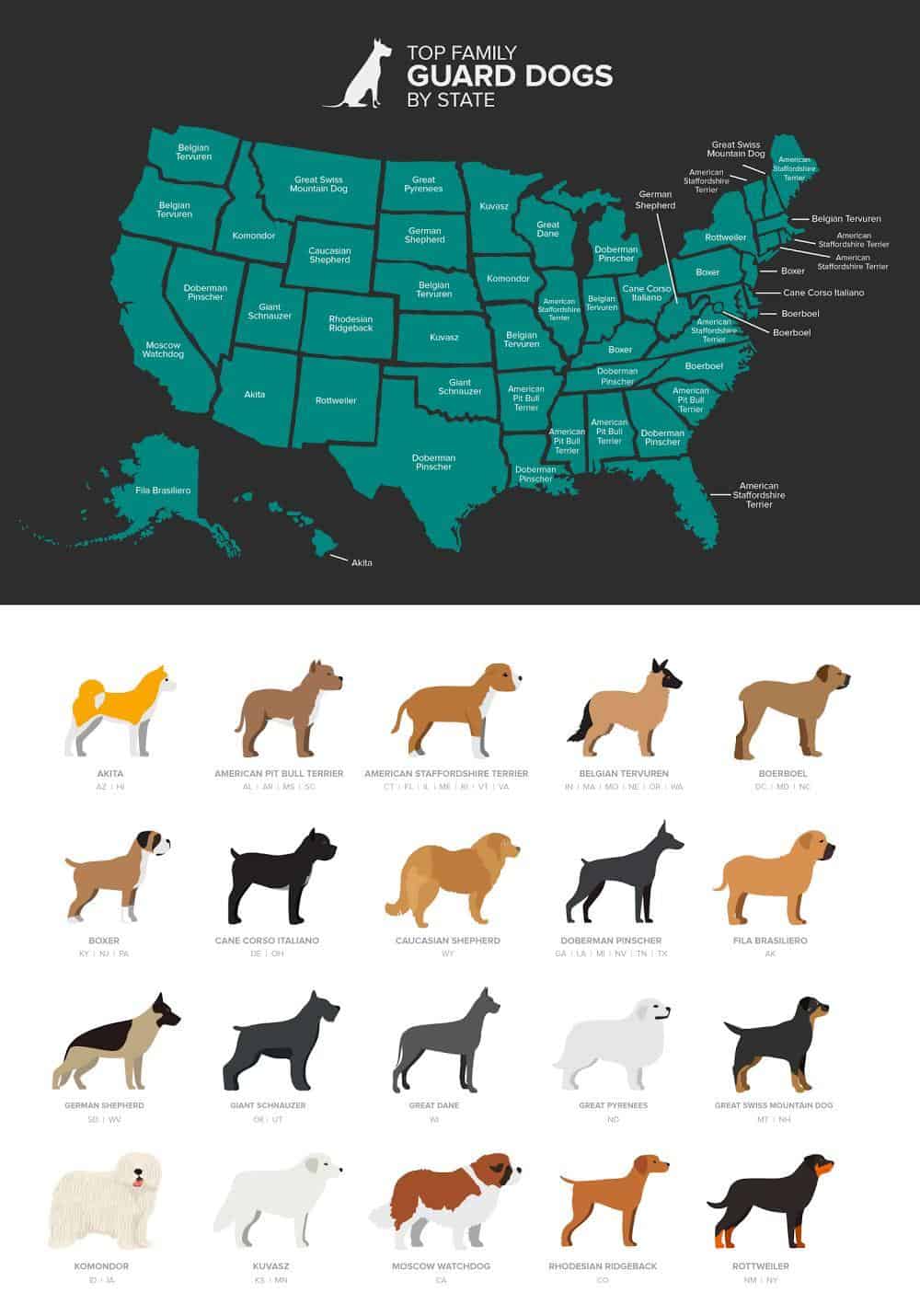 favorite-guard-dogs-by-state