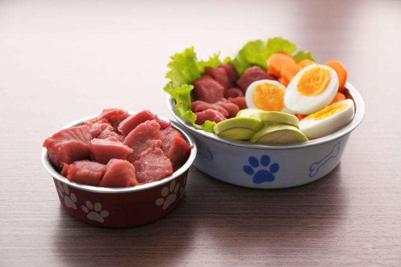 benefits of fresh dog foods