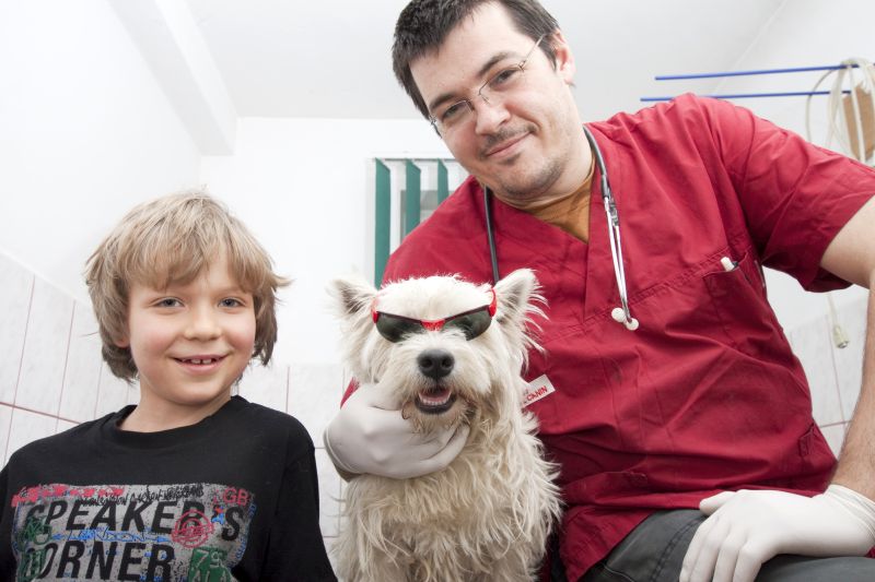 friendly vet visits help dogs