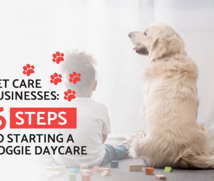 starting doggie daycare