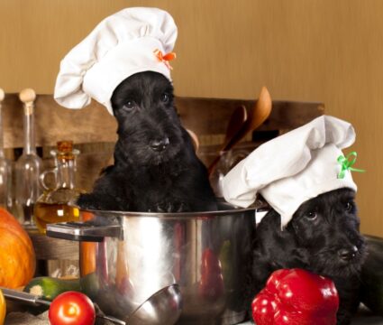 homemade crockpot recipes for dogs