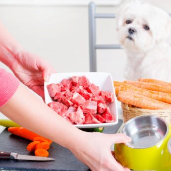 supplements for homemade dog food