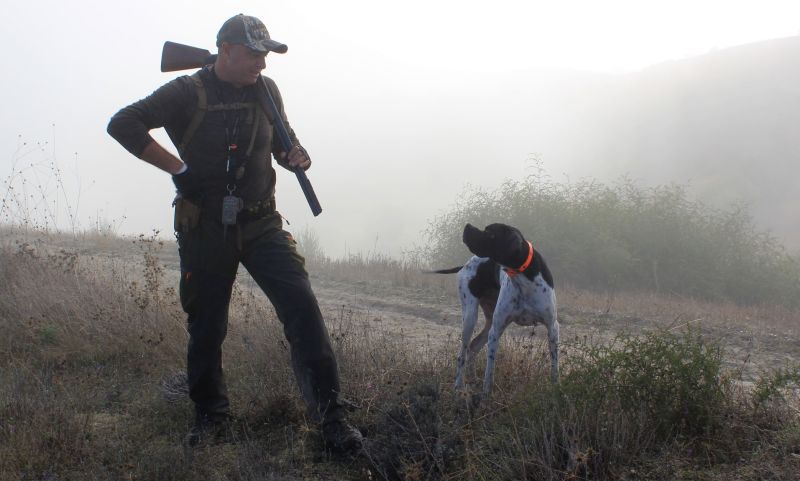 ear protection for hunting dogs