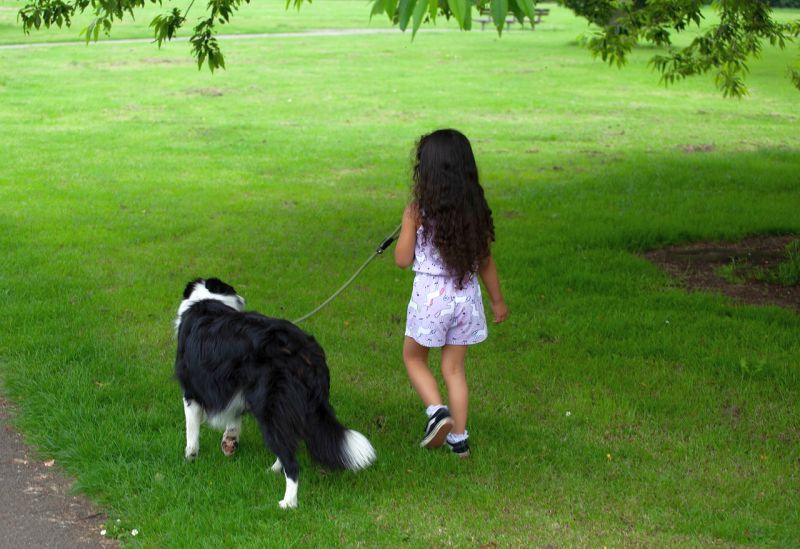 dogs and kids FAQ