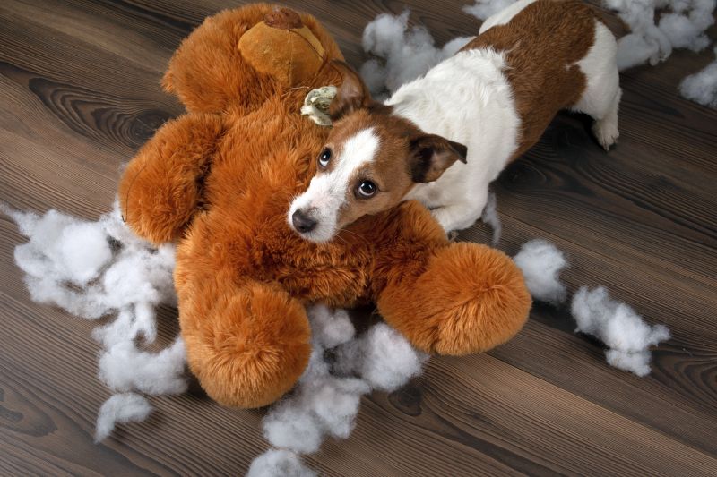 toy stuffing dangers