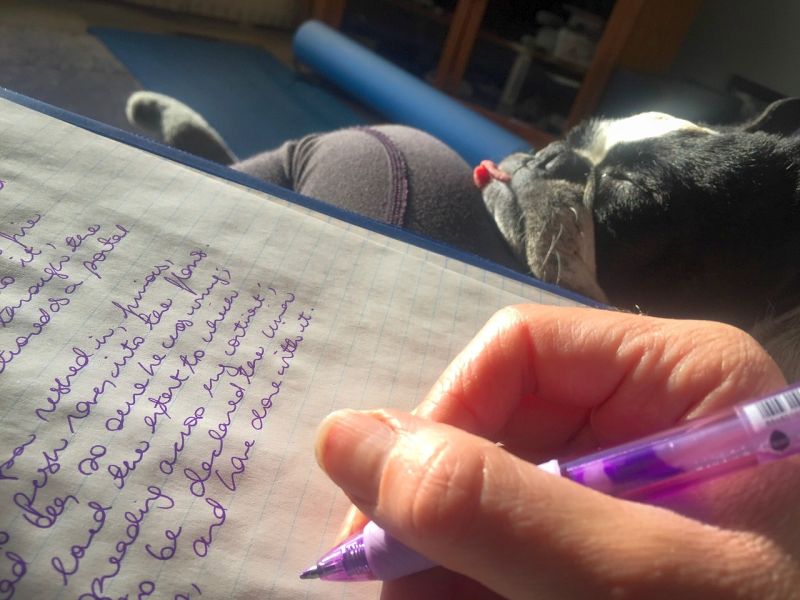 Journal to Figure Out Dog's Stressor