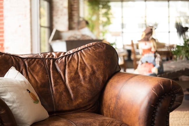 pet friendly leather furniture