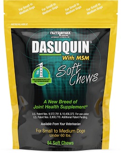 Nutramax Dasuquin Soft Chews