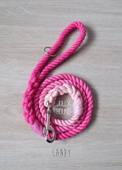 Ombre Rope Lead