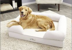 Pet Fusion Dog Bed