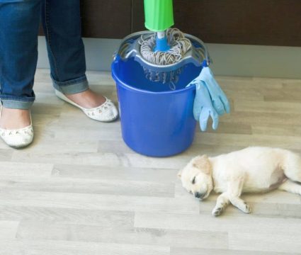 Pet Safe Floor Cleaner