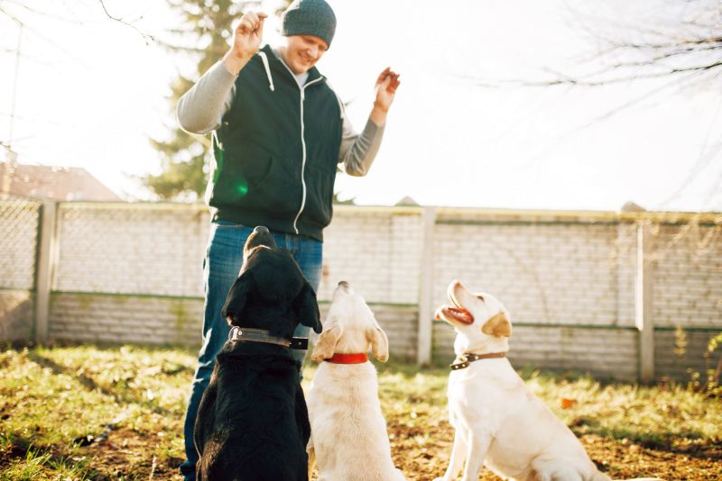 how to pick a dog trainer