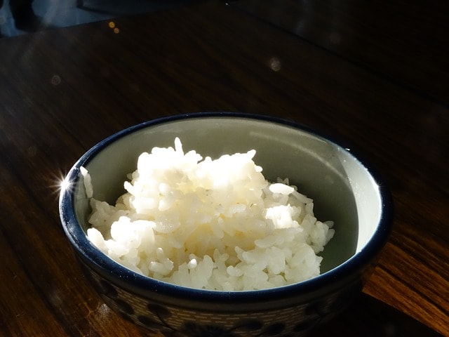 plain rice for dog diarrhea