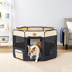 Best exercise pen for dogs