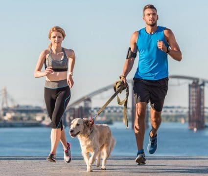 preparing-dog-for-long-distance-running