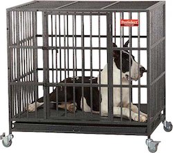 proselect dog cage