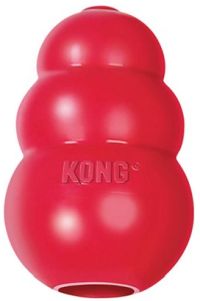 Regular Kong