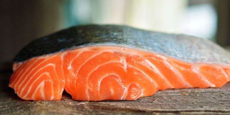 salmon for dogs