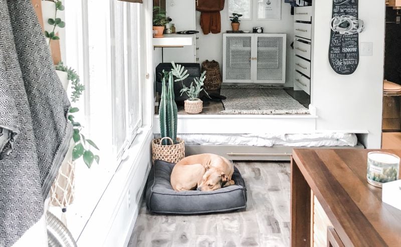 make sure your dog has his own space in tiny house