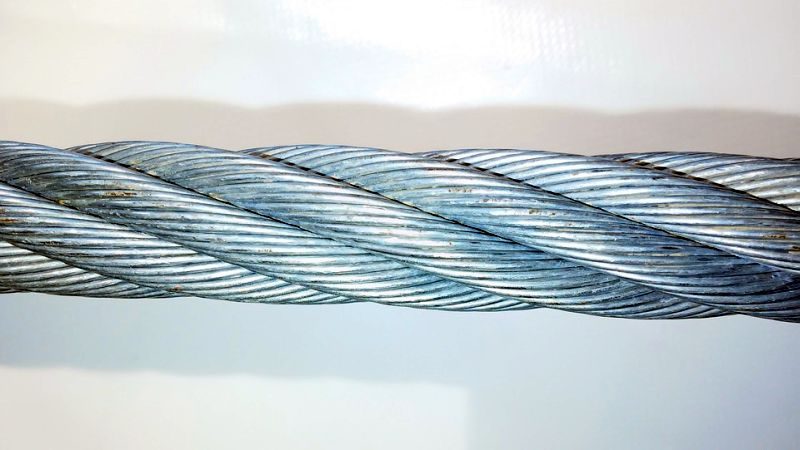 wire dog leash