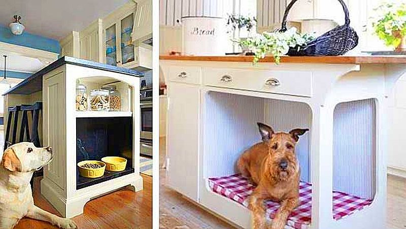 using storage space for pets in tiny houses