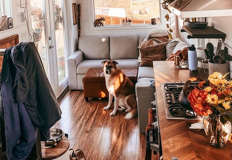 maximize storage space for your dog