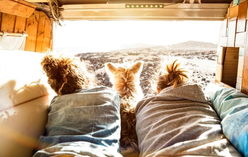 how to live in van with dog