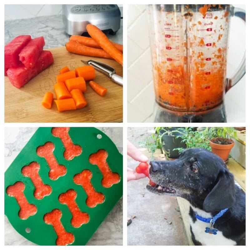 watermelon and carrot popsicles for dogs
