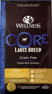Wellness CORE Large Puppy Food
