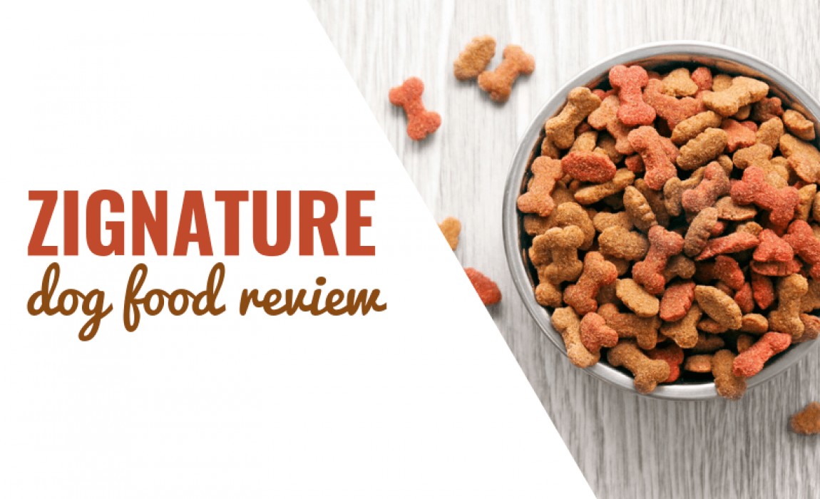 zignature-dog-food-review
