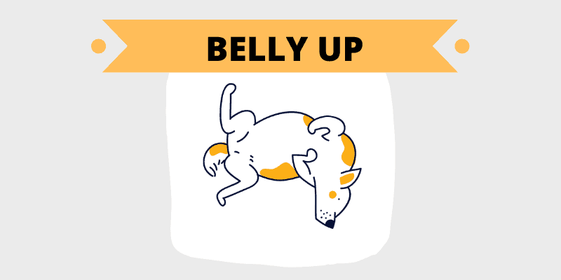 belly up sleep post