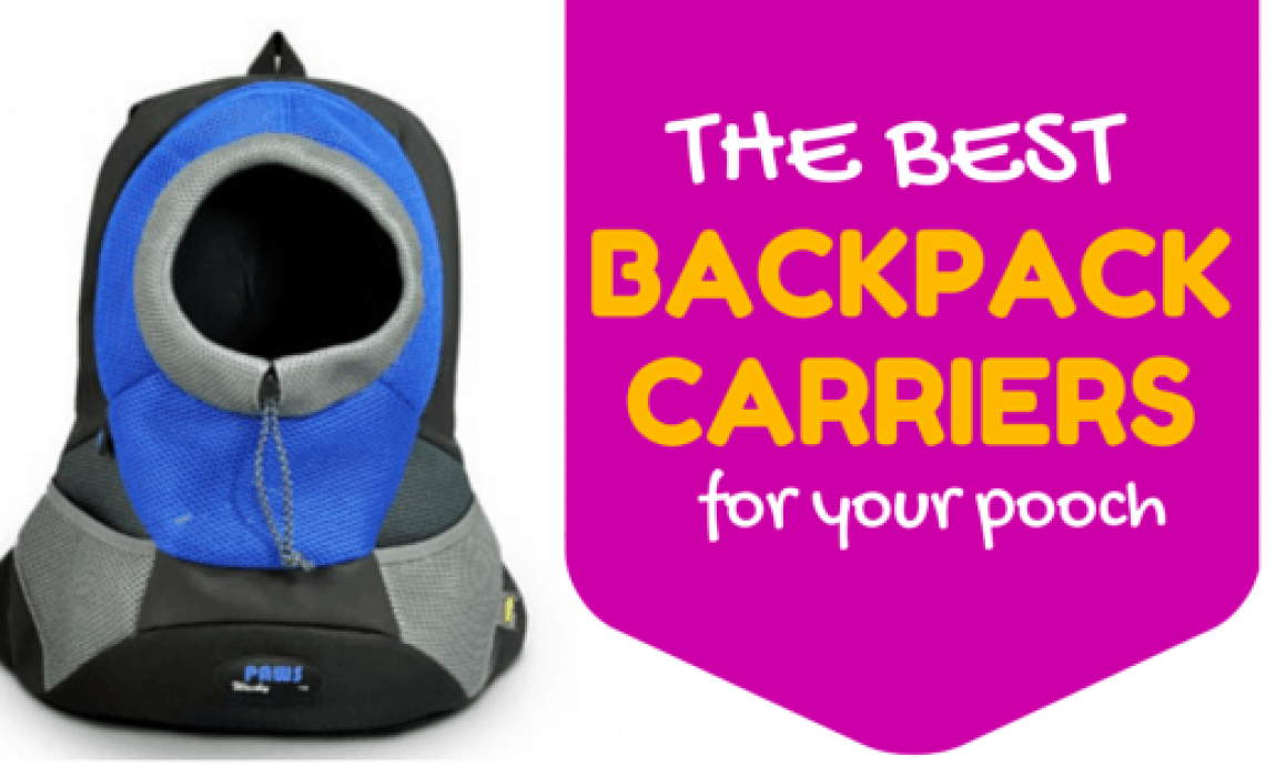 best backpack carriers for your dog
