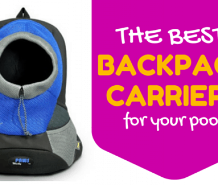 best backpack carriers for your dog