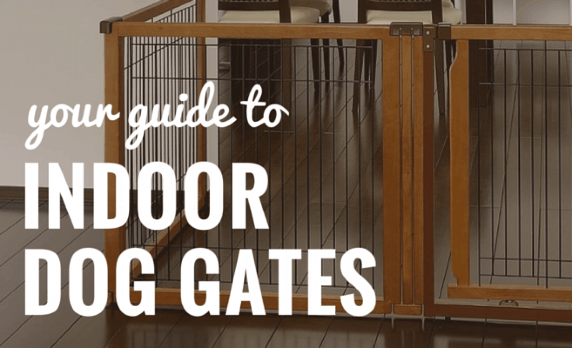 best indoor dog gates