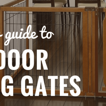 best indoor dog gates