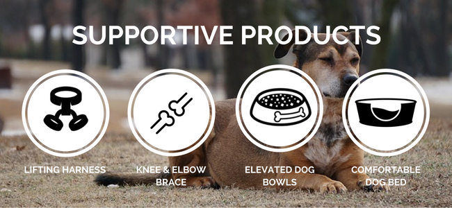 dog arthritic supportive products